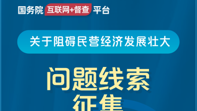 女人日逼片国务院“互联网+督查”平台公开征集阻碍民营经济发展壮大问题线索